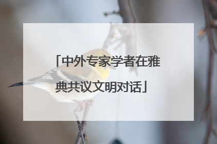 中外专家学者在雅典共议文明对话