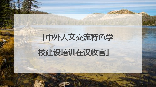 中外人文交流特色学校建设培训在汉收官