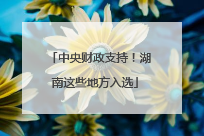 中央财政支持！湖南这些地方入选