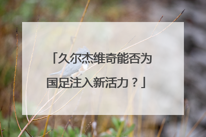 久尔杰维奇能否为国足注入新活力？