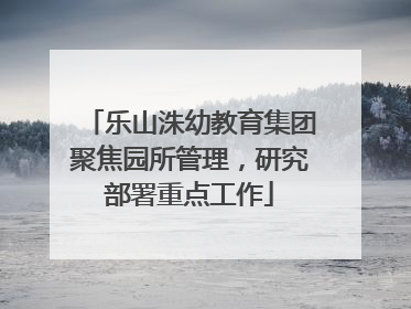 乐山洙幼教育集团聚焦园所管理，研究部署重点工作