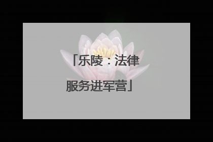 乐陵：法律服务进军营