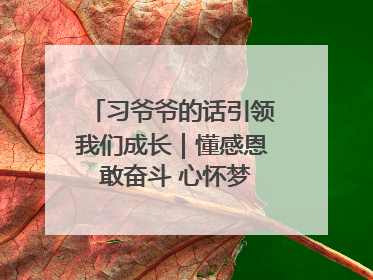 习爷爷的话引领我们成长｜懂感恩 敢奋斗 心怀梦想向未来