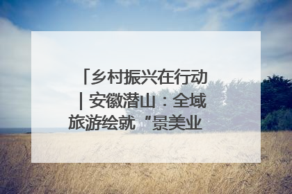 乡村振兴在行动｜安徽潜山：全域旅游绘就“景美业兴民富”新画卷
