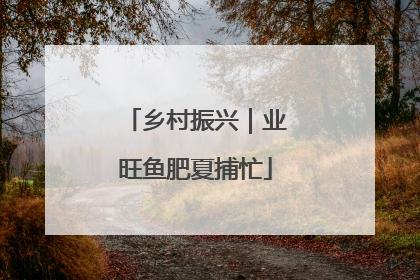 乡村振兴｜业旺鱼肥夏捕忙