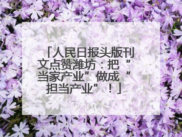 人民日报头版刊文点赞潍坊：把“当家产业”做成“担当产业”！