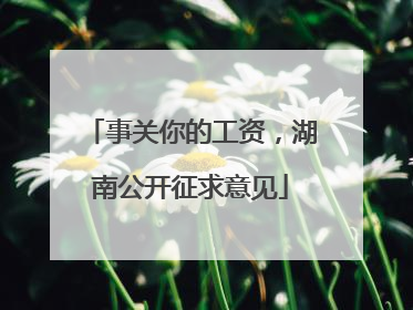 事关你的工资，湖南公开征求意见