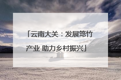 云南大关：发展筇竹产业 助力乡村振兴