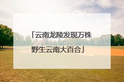 云南龙陵发现万株野生云南大百合