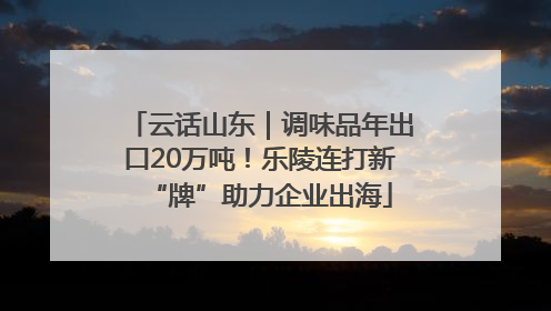 云话山东｜调味品年出口20万吨！乐陵连打新“牌”助力企业出海