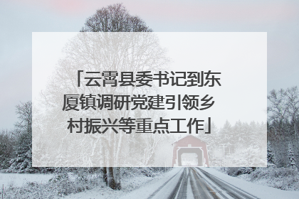云霄县委书记到东厦镇调研党建引领乡村振兴等重点工作