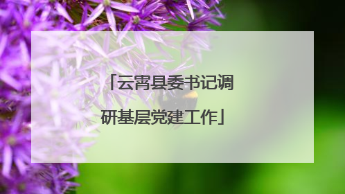 云霄县委书记调研基层党建工作
