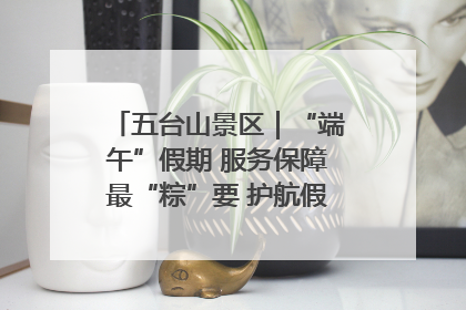 五台山景区｜“端午”假期 服务保障最“粽”要 护航假期“不打烊”