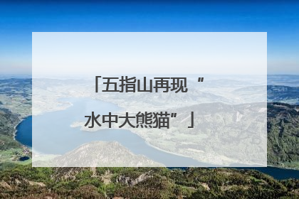 五指山再现“水中大熊猫”