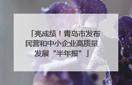 亮成绩！青岛市发布民营和中小企业高质量发展“半年报”
