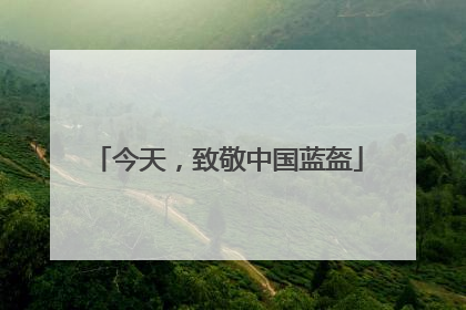 今天，致敬中国蓝盔