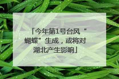 今年第1号台风“蝴蝶”生成，或将对湖北产生影响