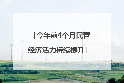 今年前4个月民营经济活力持续提升