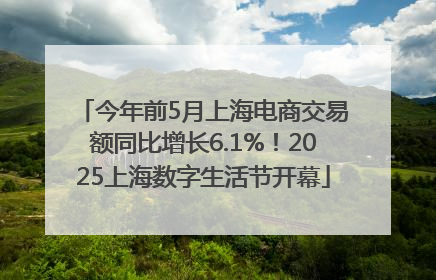 今年前5月上海电商交易额同比增长6.1%！2025上海数字生活节开幕