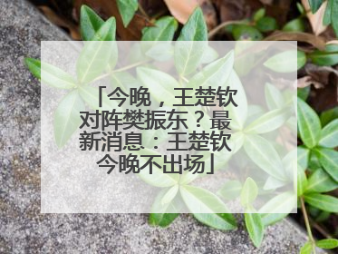 今晚，王楚钦对阵樊振东？最新消息：王楚钦今晚不出场