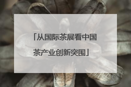 从国际茶展看中国茶产业创新突围