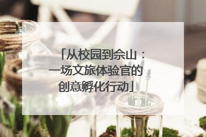 从校园到佘山：一场文旅体验官的创意孵化行动