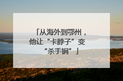 从海外到鄂州，他让“卡脖子”变“杀手锏”