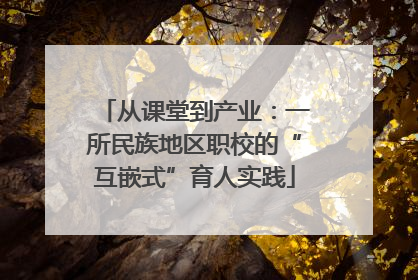 从课堂到产业：一所民族地区职校的“互嵌式”育人实践