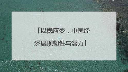 以稳应变，中国经济展现韧性与潜力
