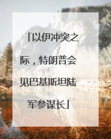 以伊冲突之际，特朗普会见巴基斯坦陆军参谋长