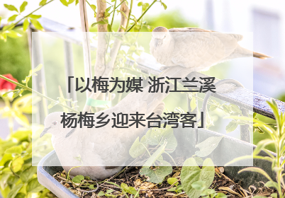 以梅为媒 浙江兰溪杨梅乡迎来台湾客