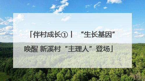 伴村成长①丨 “生长基因”唤醒 新溪村“主理人”登场