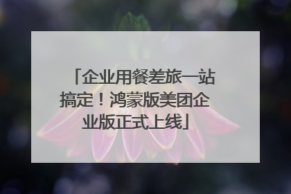 企业用餐差旅一站搞定！鸿蒙版美团企业版正式上线
