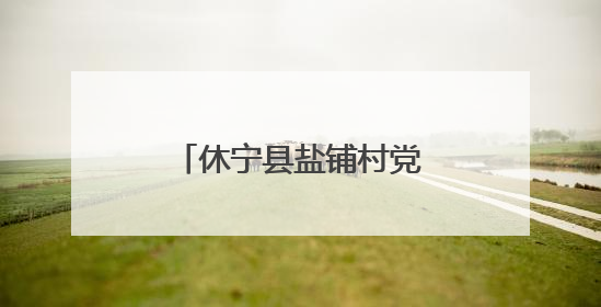 休宁县盐铺村党建引领绘就“花开盐铺”新图景