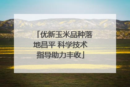 优新玉米品种落地昌平 科学技术指导助力丰收