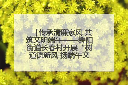 传承清廉家风 共筑文明端午——舞阳街道长春村开展“树道德新风 扬端午文化”主题活动