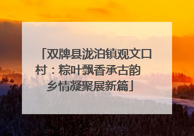 双牌县泷泊镇观文口村：粽叶飘香承古韵 乡情凝聚展新篇