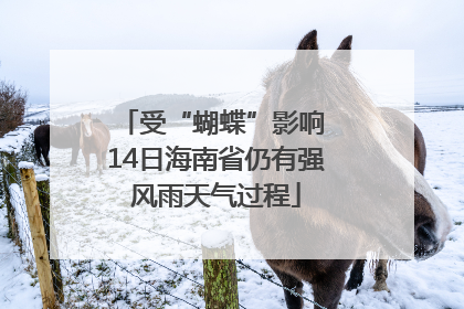 受“蝴蝶”影响 14日海南省仍有强风雨天气过程