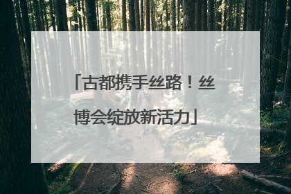 古都携手丝路！丝博会绽放新活力