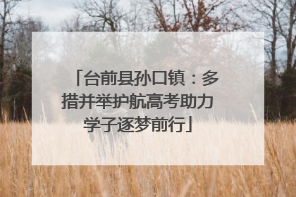 台前县孙口镇：多措并举护航高考助力学子逐梦前行