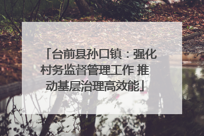 台前县孙口镇：强化村务监督管理工作 推动基层治理高效能