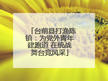 台前县打渔陈镇：为党外青年建跑道 在统战舞台竞风采