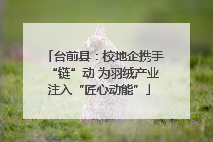 台前县：校地企携手“链”动 为羽绒产业注入“匠心动能”