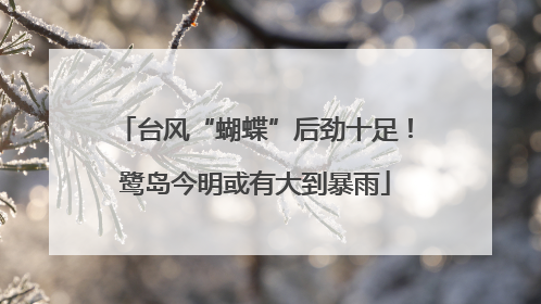 台风“蝴蝶”后劲十足！鹭岛今明或有大到暴雨