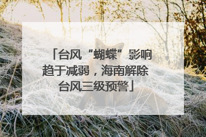 台风“蝴蝶”影响趋于减弱，海南解除台风三级预警