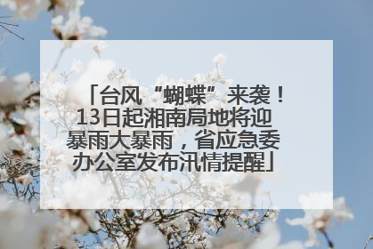 台风“蝴蝶”来袭！13日起湘南局地将迎暴雨大暴雨，省应急委办公室发布汛情提醒