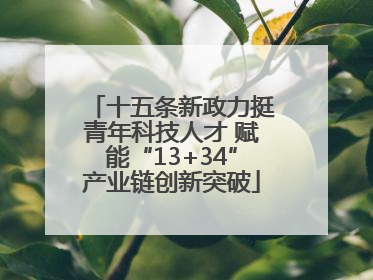十五条新政力挺青年科技人才 赋能“13+34”产业链创新突破