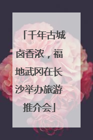 千年古城卤香浓，福地武冈在长沙举办旅游推介会