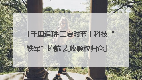 千里追耕·三夏时节丨科技“铁军”护航 麦收颗粒归仓