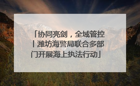 协同亮剑，全域管控丨潍坊海警局联合多部门开展海上执法行动